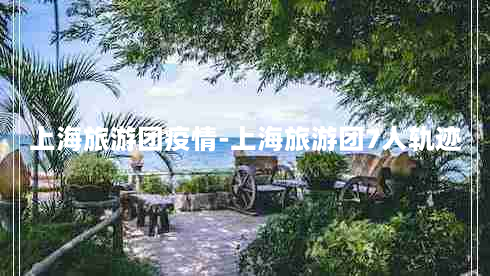 上海旅游团疫情-上海旅游团7人轨迹