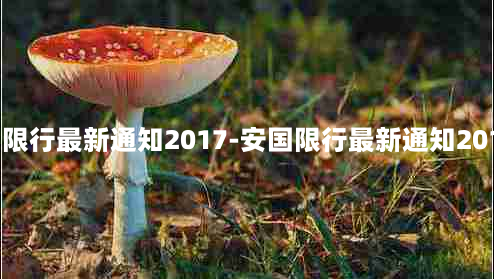 安国限行最新通知2017-安国限行最新通知2017年