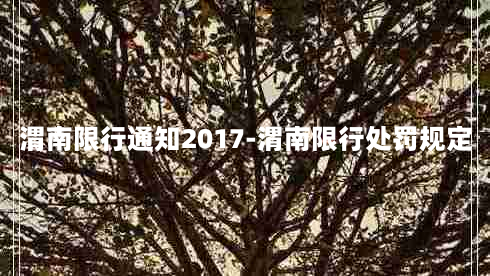 渭南限行通知2017-渭南限行处罚规定