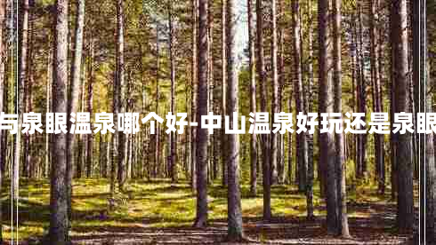 中山温泉与泉眼温泉哪个好-中山温泉好玩还是泉眼温泉好玩