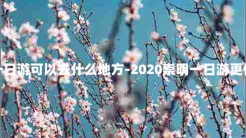 崇明一日游可以去什么地方-2020崇明一日游更佳路线