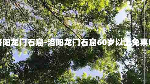 洛阳龙门石窟-洛阳龙门石窟60岁以上免票吗