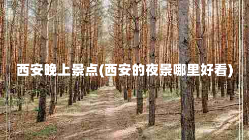 西安晚上景点(西安的夜景哪里好看)