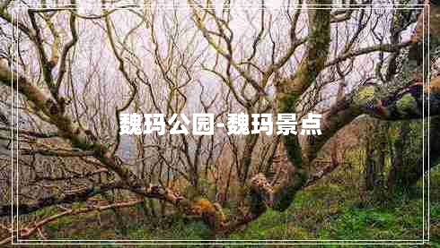 魏玛公园-魏玛景点