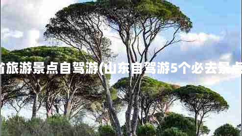 山东省旅游景点自驾游(山东自驾游5个必去景点推荐)