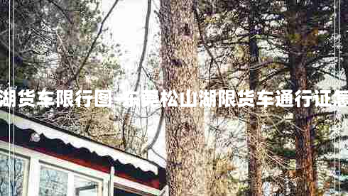 东莞松山湖货车限行图-东莞松山湖限货车通行证怎么办理的