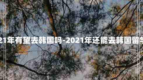 2021年有望去韩国吗-2021年还能去韩国留学吗