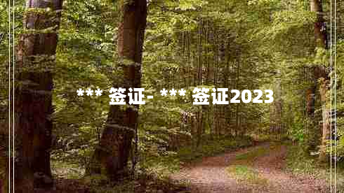  *** 签证- *** 签证2023