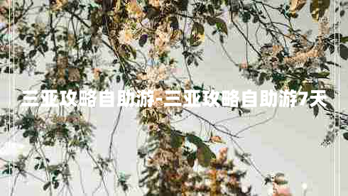 三亚攻略自助游-三亚攻略自助游7天