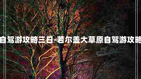 若尔盖草原自驾游攻略三日-若尔盖大草原自驾游攻略必带和衣物