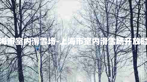 上海市室内滑雪场-上海市室内滑雪场开放时间