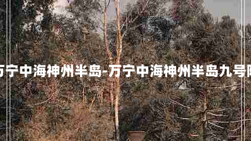 万宁中海神州半岛-万宁中海神州半岛九号院