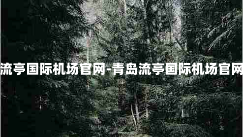 青岛流亭国际机场官网-青岛流亭国际机场官网首页