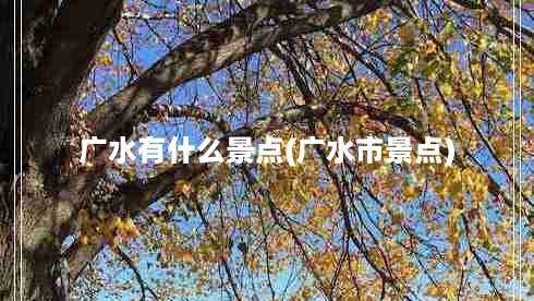 广水有什么景点(广水市景点)