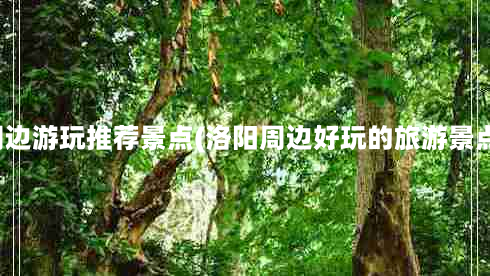 洛阳周边游玩推荐景点(洛阳周边好玩的旅游景点推荐)