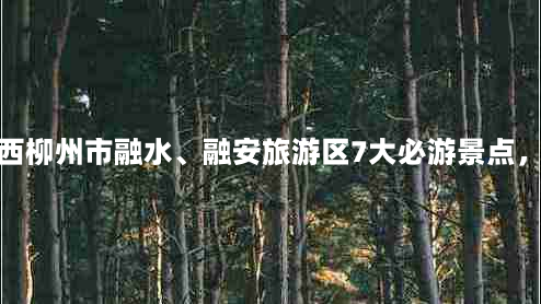 融水那里好玩的景点(广西柳州市融水、融安旅游区7大必游景点，人少景美，你去过几个)