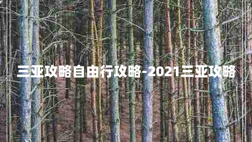 三亚攻略自由行攻略-2021三亚攻略