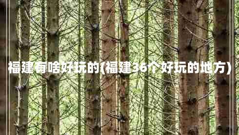 福建有啥好玩的(福建36个好玩的地方)