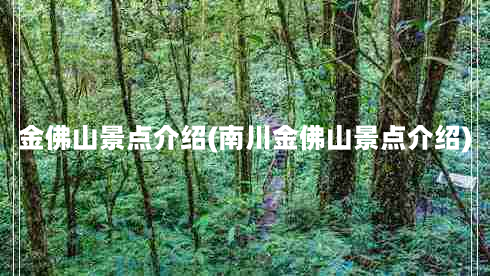 金佛山景点介绍(南川金佛山景点介绍)