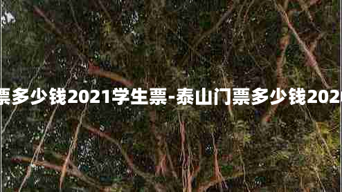 泰山门票多少钱2021学生票-泰山门票多少钱2020学生票