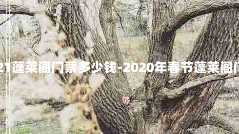 2021蓬莱阁门票多少钱-2020年春节蓬莱阁门票