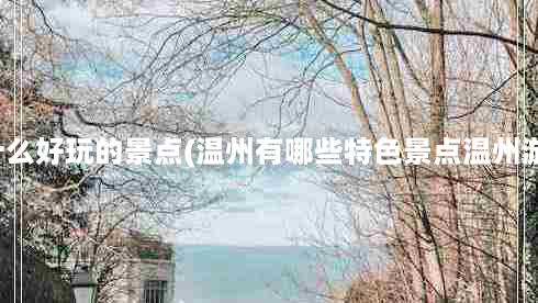 温州有什么好玩的景点(温州有哪些特色景点温州游玩攻略)