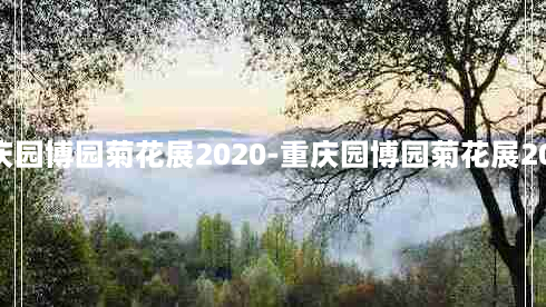 重庆园博园菊花展2020-重庆园博园菊花展2019