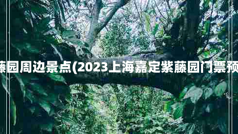 嘉定紫藤园周边景点(2023上海嘉定紫藤园门票预约指南)