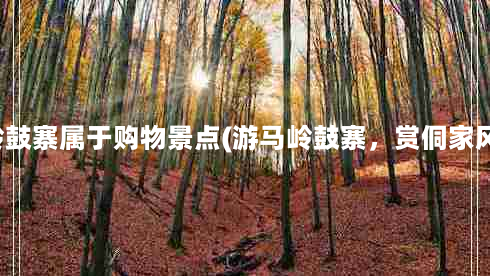 马岭鼓寨属于购物景点(游马岭鼓寨，赏侗家风情)