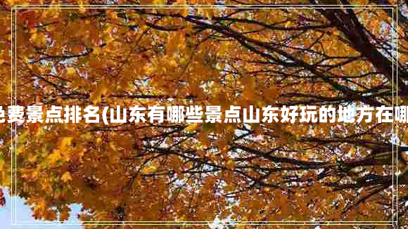 山东免费景点排名(山东有哪些景点山东好玩的地方在哪里？)