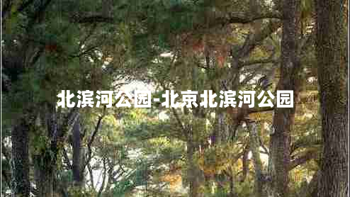 北滨河公园-北京北滨河公园