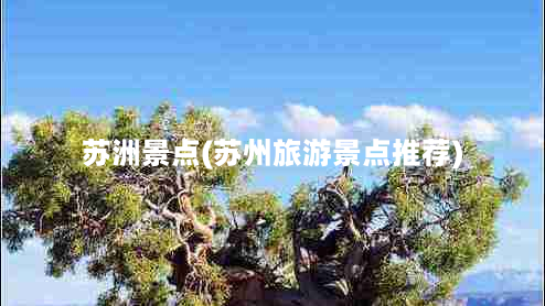 苏洲景点(苏州旅游景点推荐)