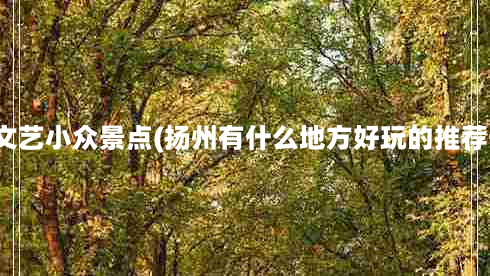 扬州文艺小众景点(扬州有什么地方好玩的推荐一下)