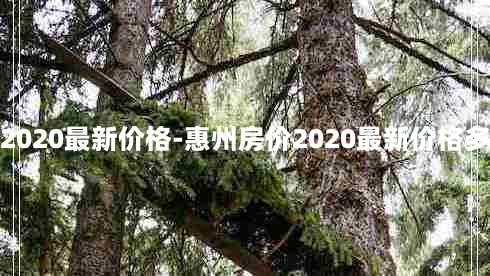 惠州房价2020最新价格-惠州房价2020最新价格多少钱一方