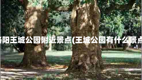 洛阳王城公园附近景点(王城公园有什么景点)