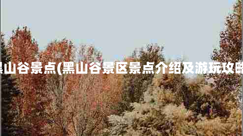 黑山谷景点(黑山谷景区景点介绍及游玩攻略)