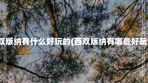 西双版纳有什么好玩的(西双版纳有哪些好玩的)