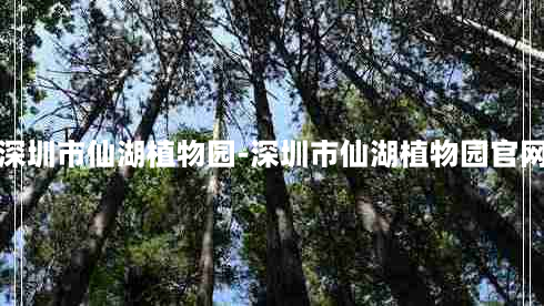 深圳市仙湖植物园-深圳市仙湖植物园官网