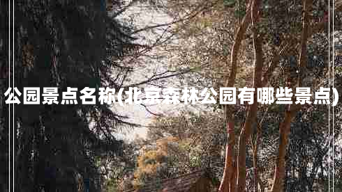 公园景点名称(北京森林公园有哪些景点)