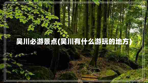 吴川必游景点(吴川有什么游玩的地方)