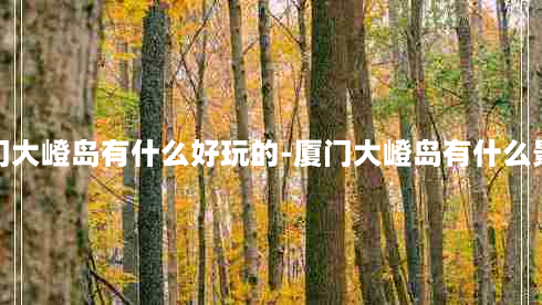 厦门大嶝岛有什么好玩的-厦门大嶝岛有什么景点