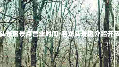 老龙头景区景点营业时间-老龙头景区介绍开放时间