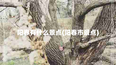 阳春有什么景点(阳春市景点)