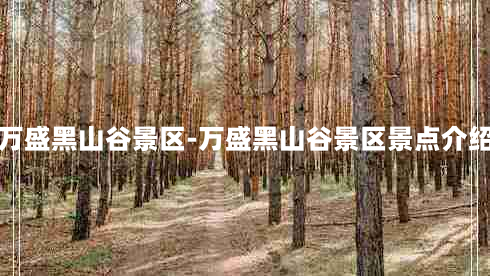 万盛黑山谷景区-万盛黑山谷景区景点介绍