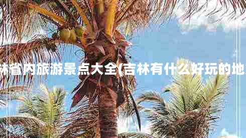 吉林省内旅游景点大全(吉林有什么好玩的地方)