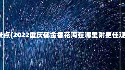 中梁镇景点(2022重庆郁金香花海在哪里附更佳观赏时间)