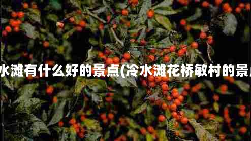 冷水滩有什么好的景点(冷水滩花桥敏村的景点)