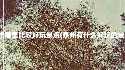 泉州哪里比较好玩景点(泉州有什么好玩的景点)