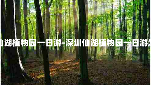 深圳仙湖植物园一日游-深圳仙湖植物园一日游怎么写