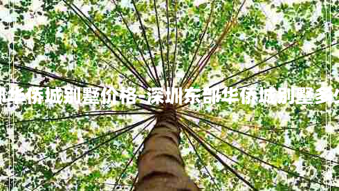 深圳东部华侨城别墅价格-深圳东部华侨城别墅多少钱一套